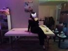 Ника , 8 995 877-84-55 Ника, индивидуалка